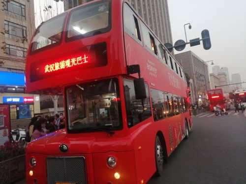 上海夜游巴士