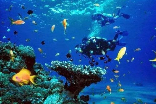 亚洲潜水最好的地方排名